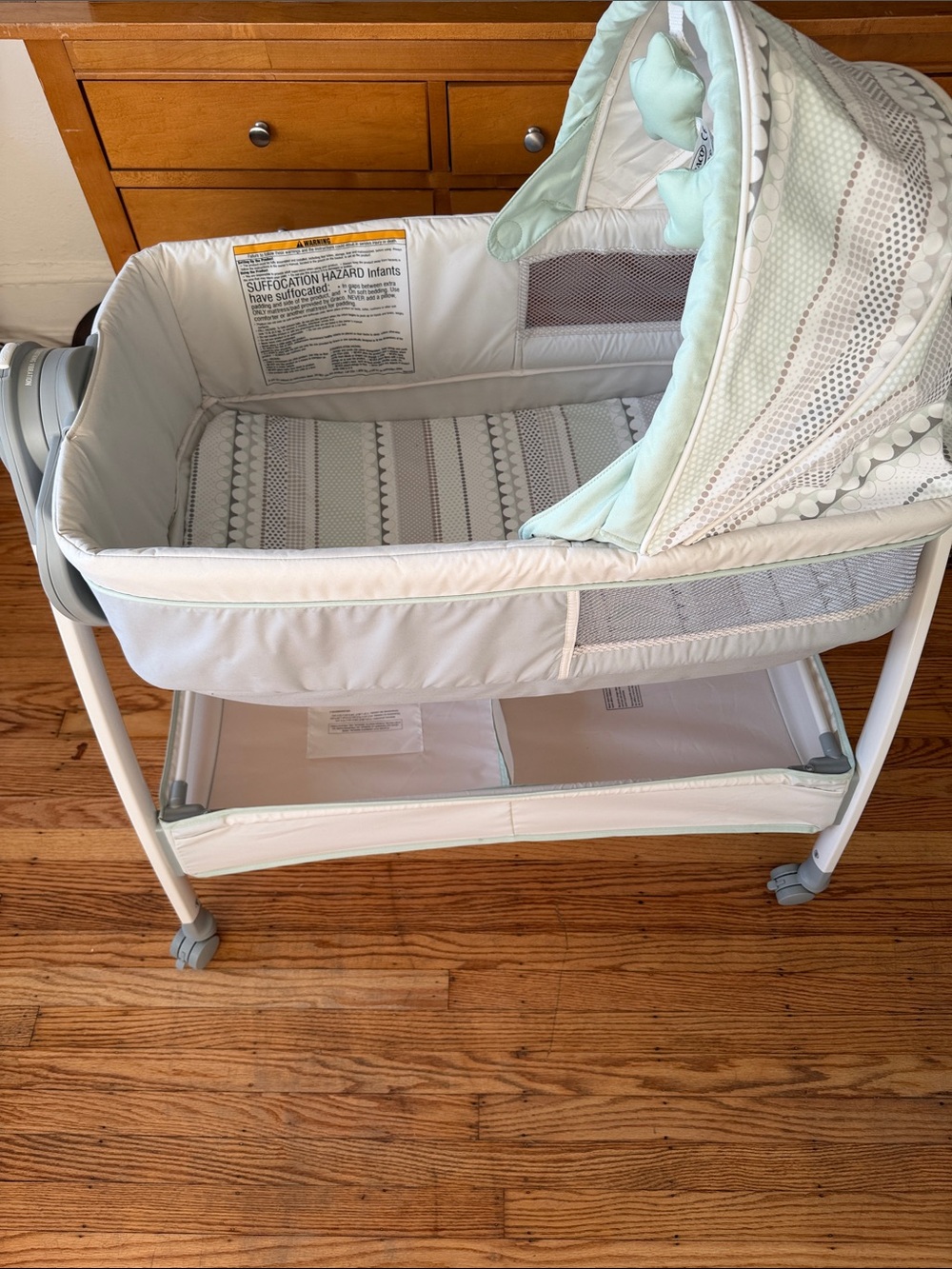 Mint and Light Gray Infant Bassinet with Canopy